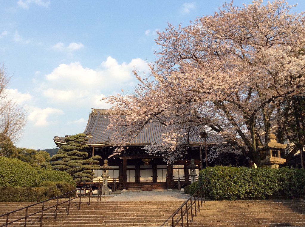 京都旅游季節攻略